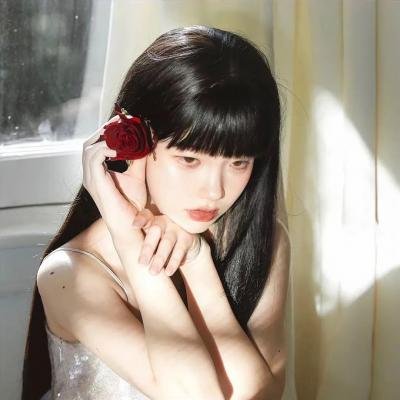 模型姐妹
